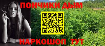 спайс Гай