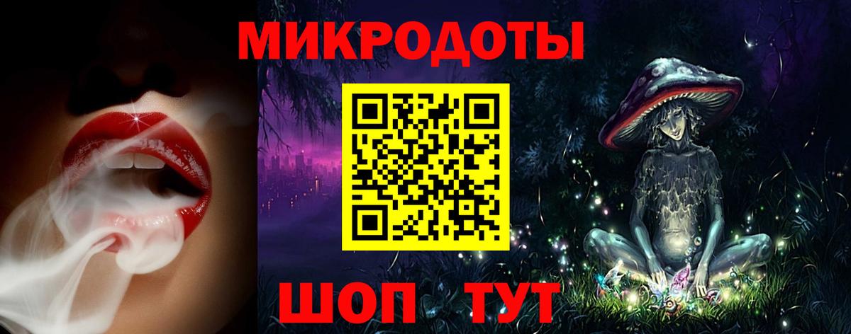 Волхов  Псилоцибиновые грибы прущие грибы  Вход с VPN  Галлюциногенные грибы MAGIC MUSHROOMS 