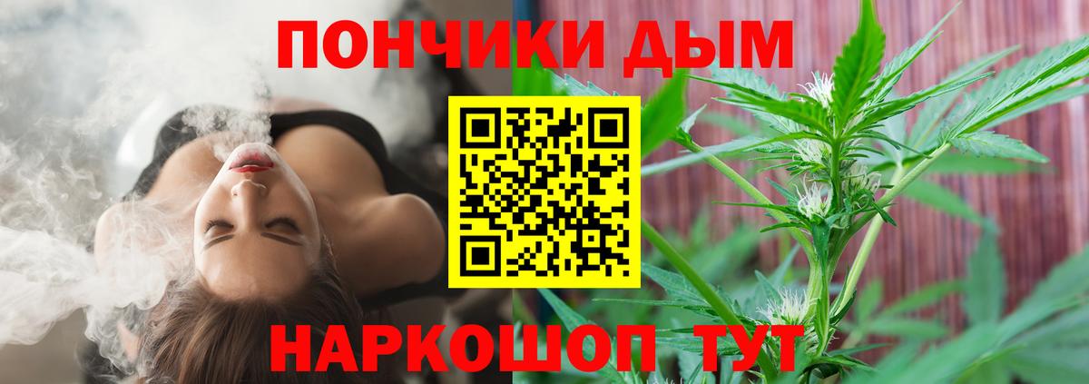 Конопля ГИДРОПОН  Каннабис тримм  Каннабис Bruce Banner  Волхов  Вход с VPN 
